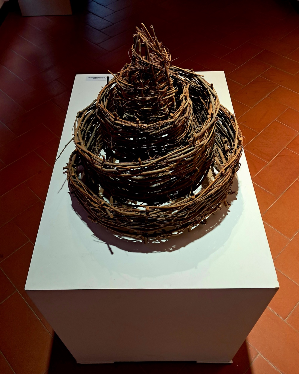 Opera 521 - immagine 1