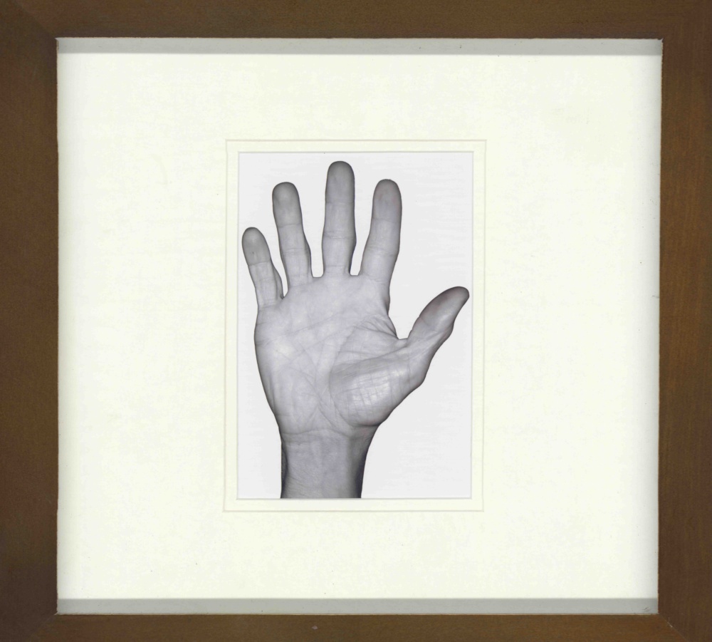 Opera 322 - immagine 2