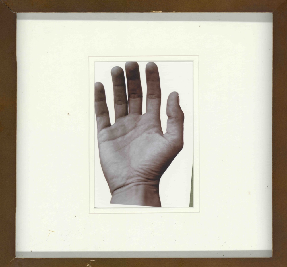 Opera 322 - immagine 4