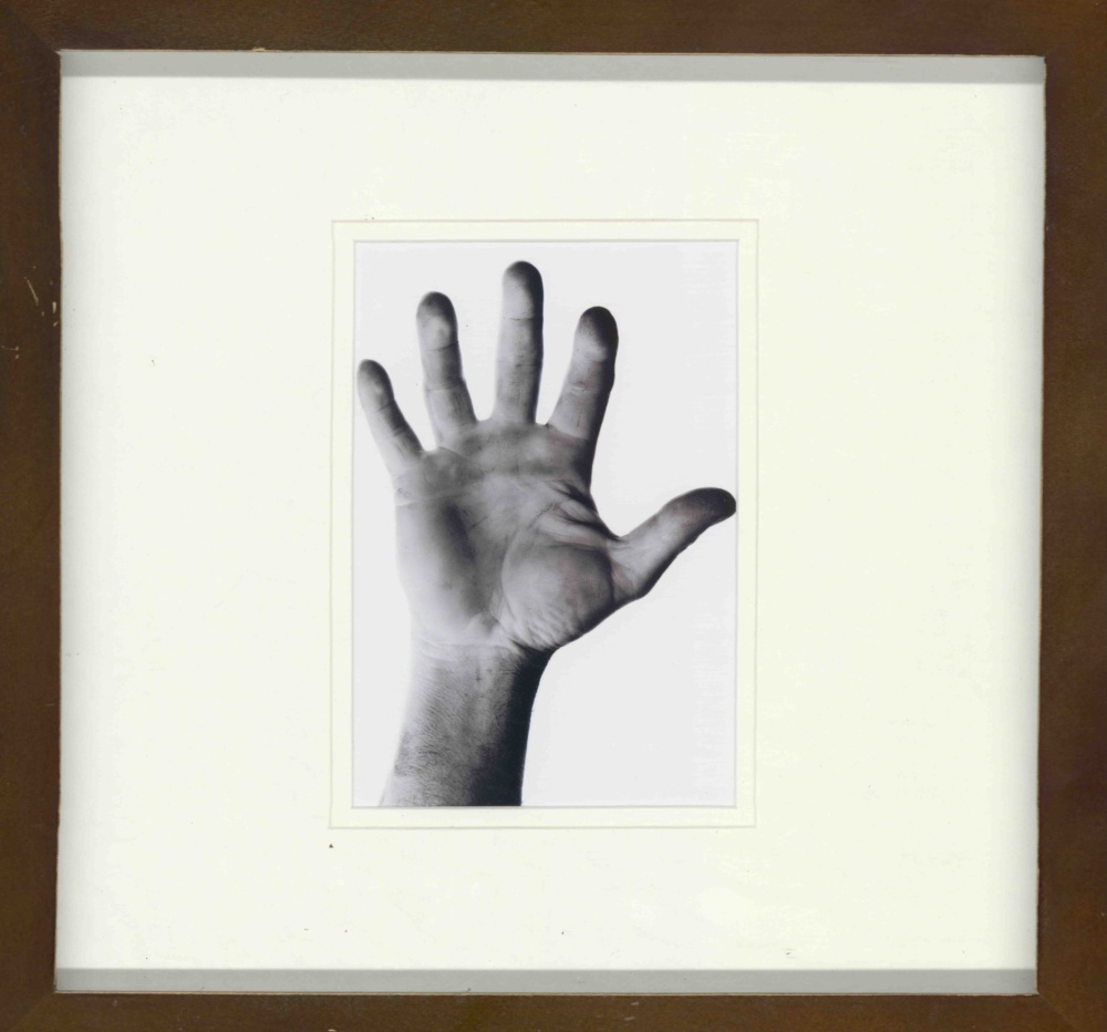 Opera 322 - immagine 6