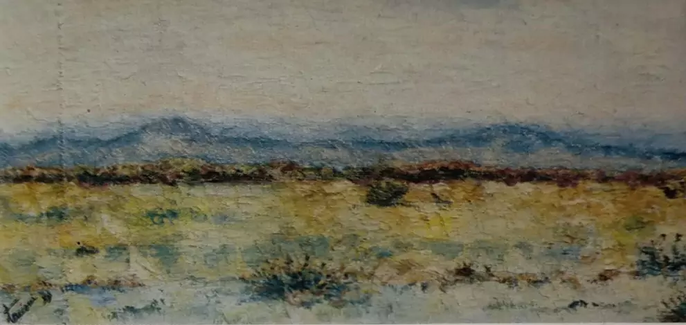 Tacconi Roberto
