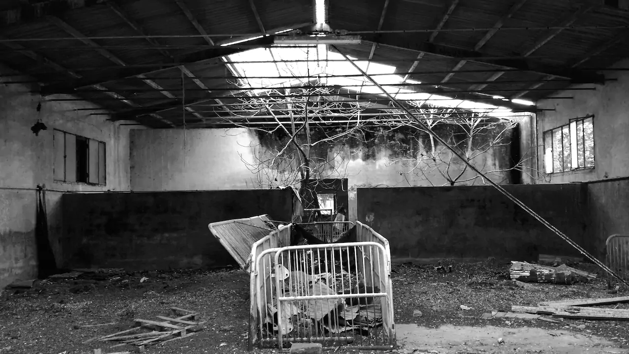Culto industriale