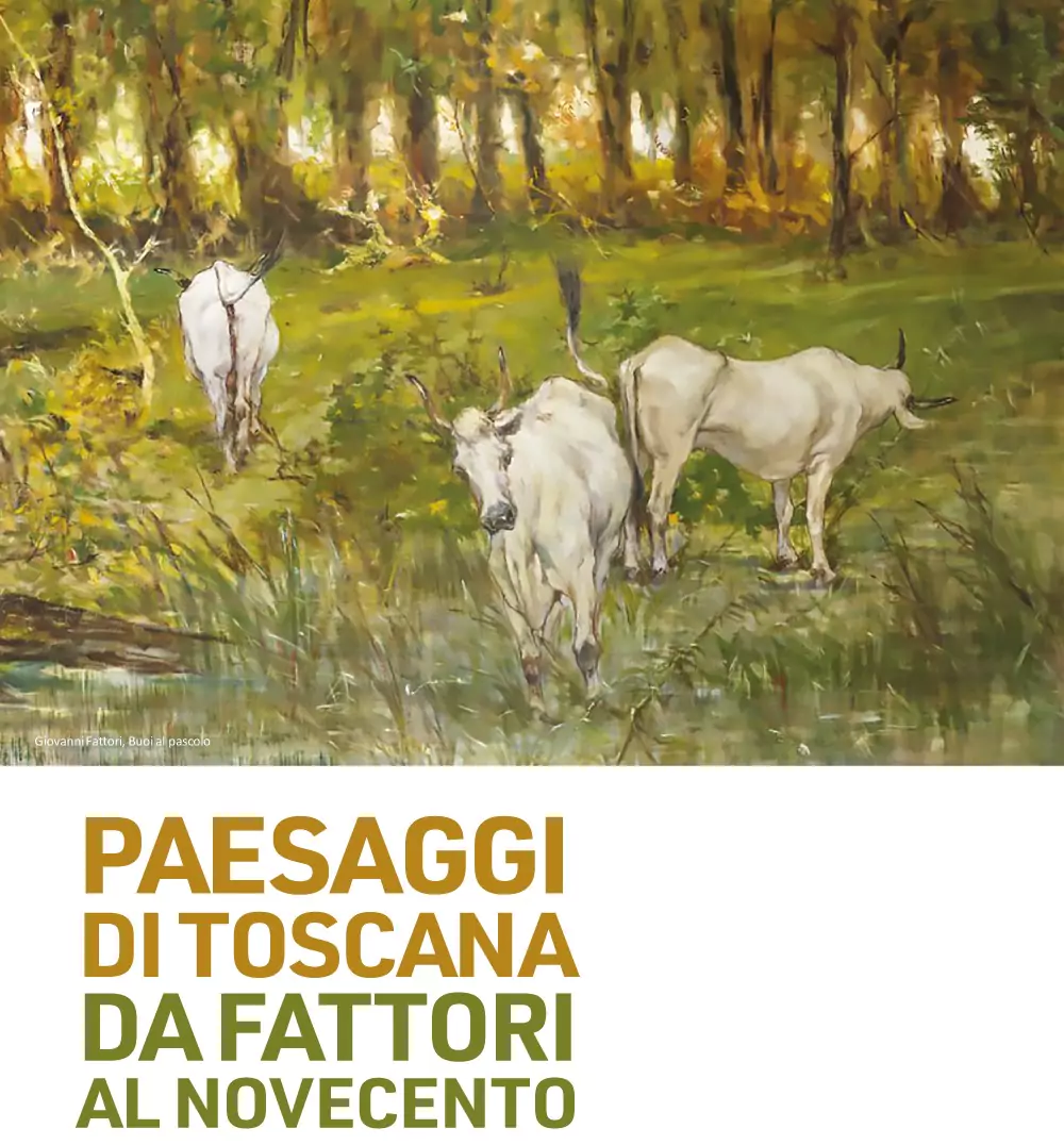 Paesaggi di Toscana