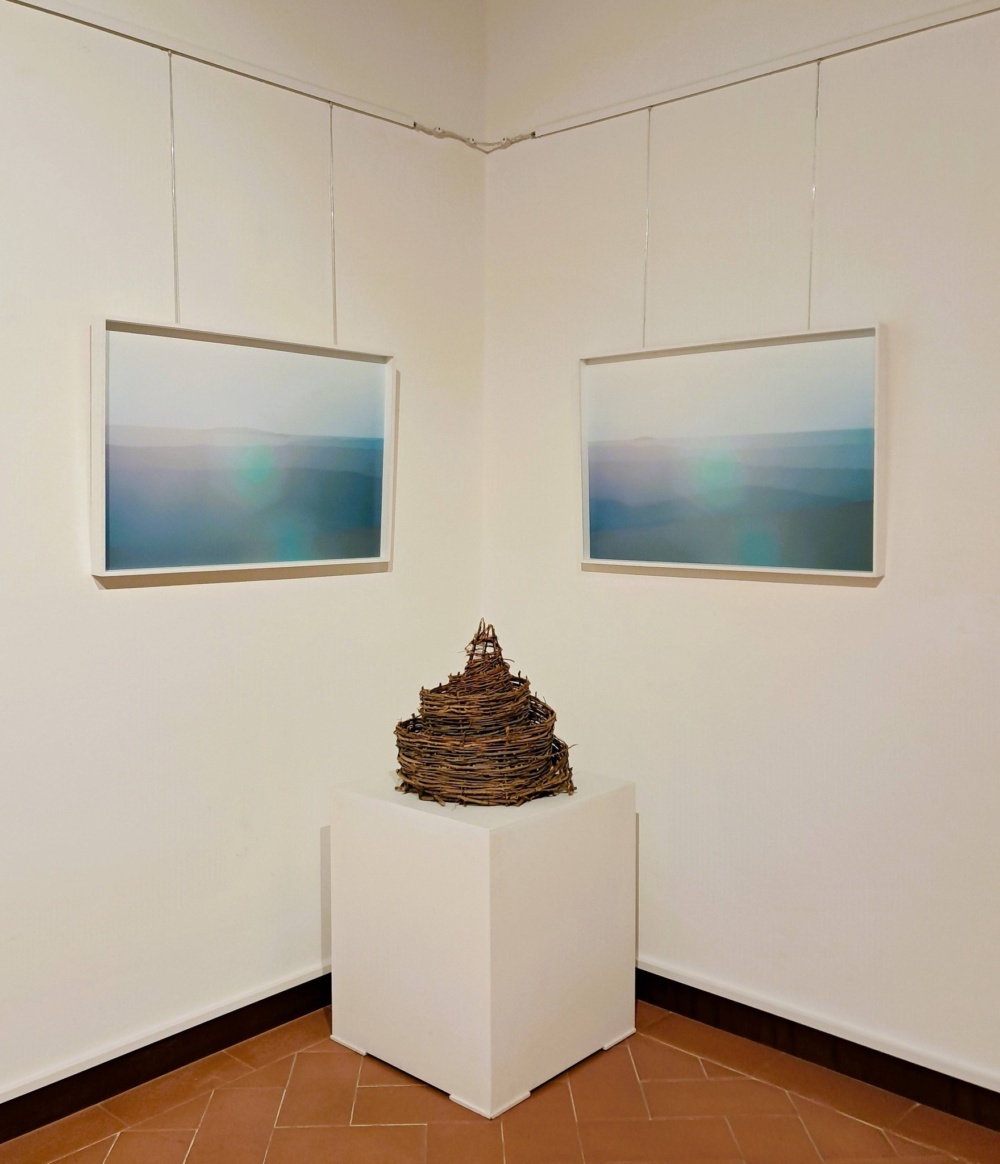 Sotto una luce fossile