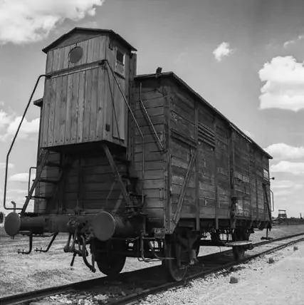 Auschwitz, viaggio nella memoria